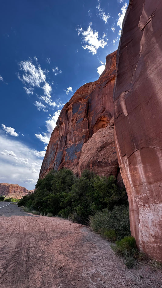 Meet the Creator: Building a Business with Purpose, Heart, and Resilience